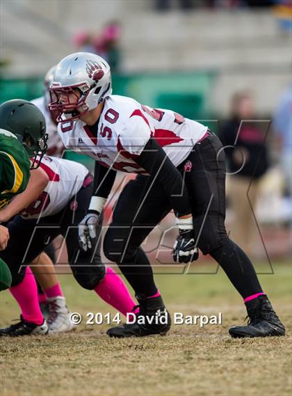 Thumbnail 3 in Bear River @ Placer photogallery.