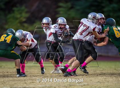 Thumbnail 1 in Bear River @ Placer photogallery.