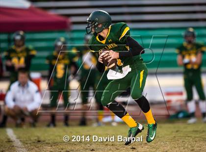 Thumbnail 1 in Bear River @ Placer photogallery.