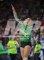 Photo from the gallery "Denver Christian vs. Sanford (CHSAA 2A 1st Round)"