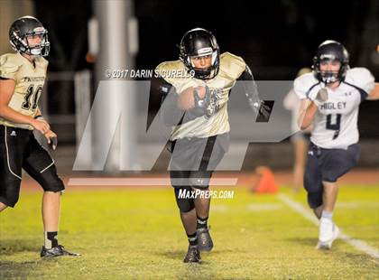 Thumbnail 1 in Higley @ Apache Junction photogallery.