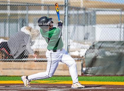 Thumbnail 2 in Doherty @ Falcon photogallery.