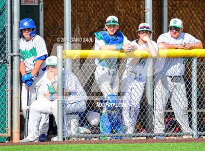 Thumbnail 1 in Doherty @ Falcon photogallery.