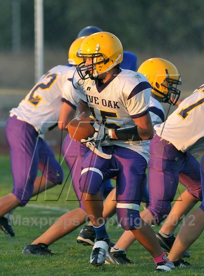 Thumbnail 3 in Live Oak @ Pierce photogallery.