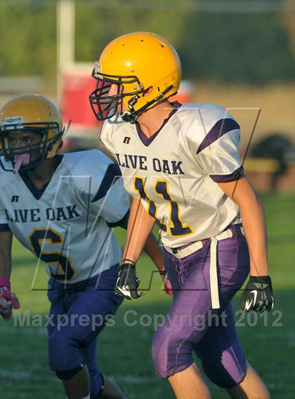 Thumbnail 3 in Live Oak @ Pierce photogallery.
