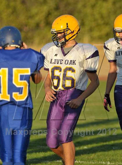 Thumbnail 2 in Live Oak @ Pierce photogallery.