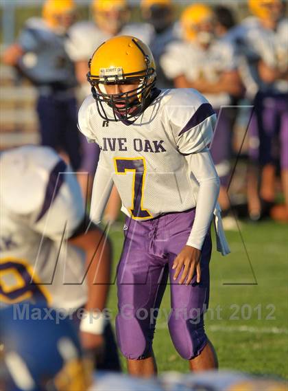 Thumbnail 2 in Live Oak @ Pierce photogallery.