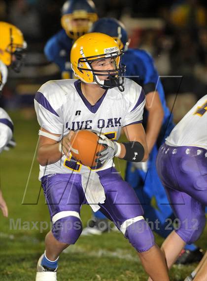 Thumbnail 3 in Live Oak @ Pierce photogallery.