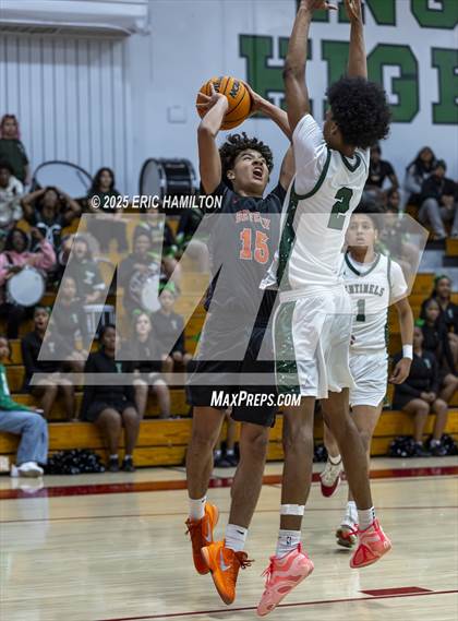 Thumbnail 1 in Beverly Hills @ Inglewood photogallery.