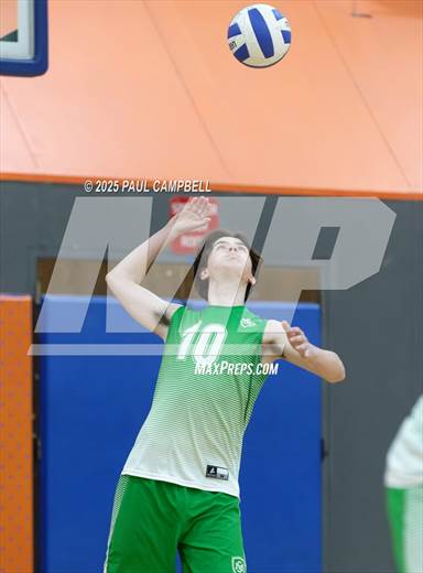 null - Photo 01