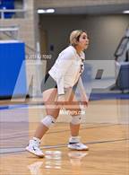 Photo from the gallery "Clark @ Marshall"