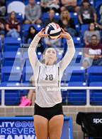Photo from the gallery "Clark @ Marshall"
