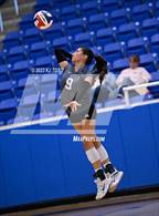 Photo from the gallery "Clark @ Marshall"