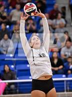 Photo from the gallery "Clark @ Marshall"