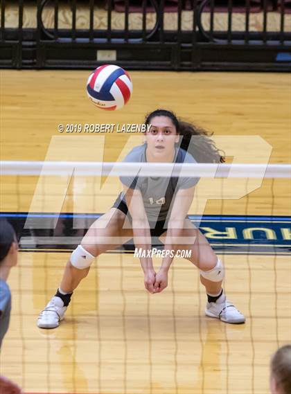 Thumbnail 3 in Brandeis vs. Steele photogallery.
