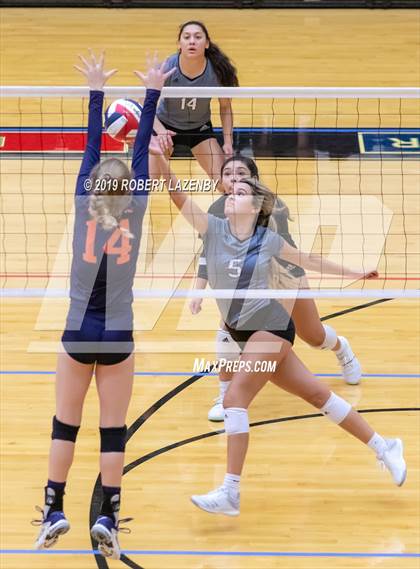 Thumbnail 3 in Brandeis vs. Steele photogallery.