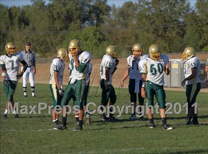 Thumbnail 3 in JV: Rio Americano @ Casa Roble photogallery.