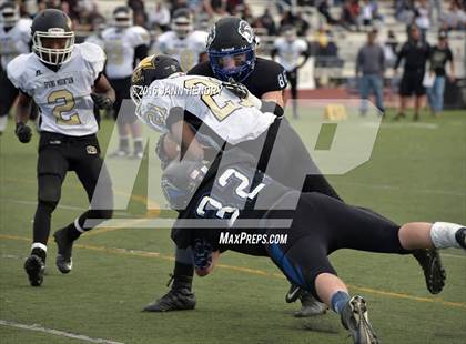 Thumbnail 1 in Spring Mountain vs. Pahranagat Valley (NIAA Class 1A Final)  photogallery.