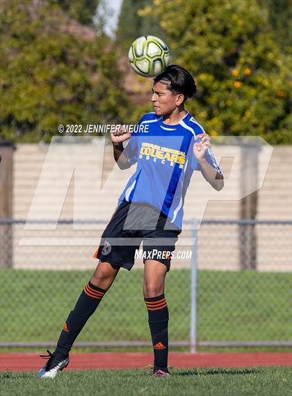 Thumbnail 1 in Foothill @ Newark Memorial photogallery.
