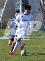 Photo from the gallery "Foothill @ Newark Memorial"