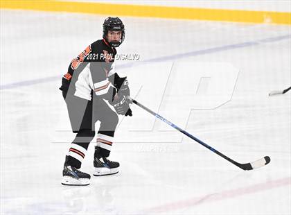 Thumbnail 2 in Lewis-Palmer @ Valor Christian photogallery.