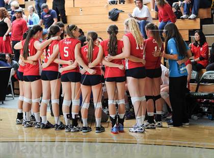 Thumbnail 2 in Cathedral Catholic vs. Campolindo (CIF State D3 Final) photogallery.