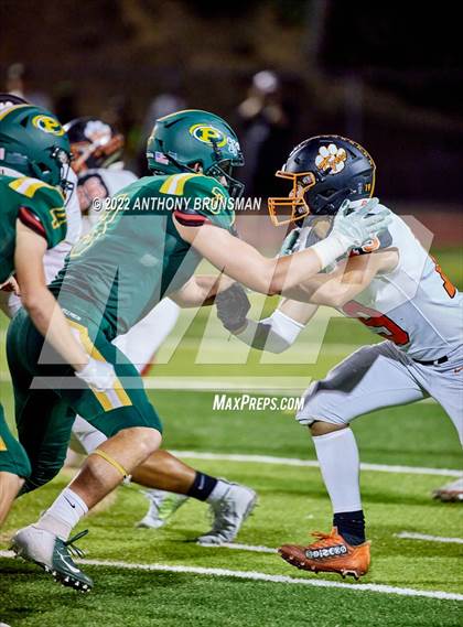 Thumbnail 3 in Roseville @ Placer photogallery.