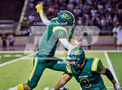 Thumbnail 2 in Roseville @ Placer photogallery.