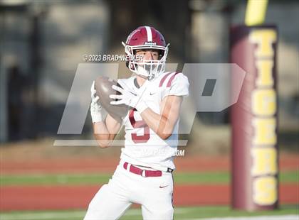 Thumbnail 2 in E.D. White @ Terrebonne (Jamboree) photogallery.
