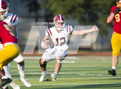 Thumbnail 1 in E.D. White @ Terrebonne (Jamboree) photogallery.
