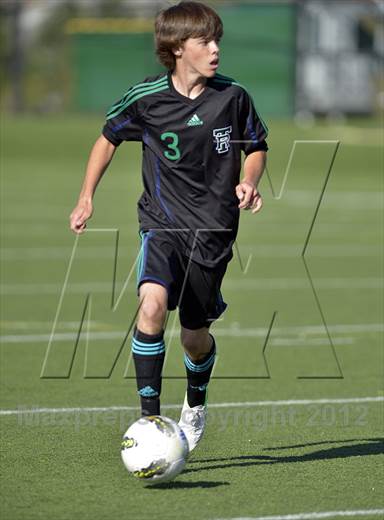 null - Photo 01