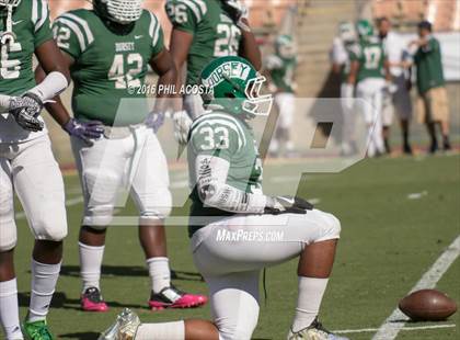 Thumbnail 3 in Dorsey vs Crenshaw photogallery.