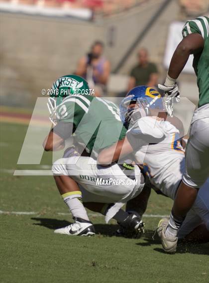 Thumbnail 2 in Dorsey vs Crenshaw photogallery.
