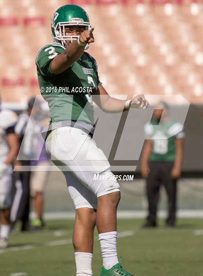 Thumbnail 1 in Dorsey vs Crenshaw photogallery.