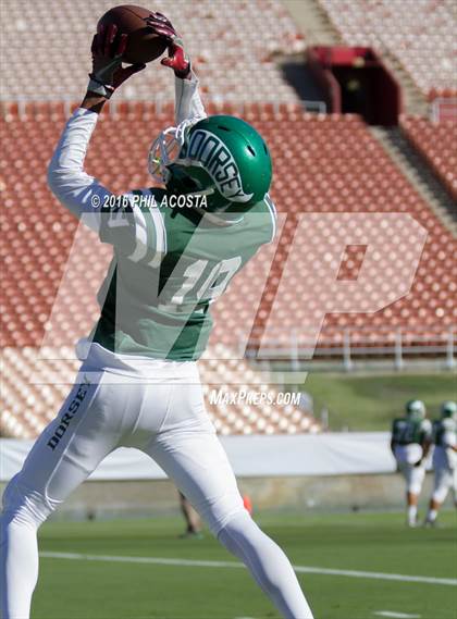 Thumbnail 1 in Dorsey vs Crenshaw photogallery.