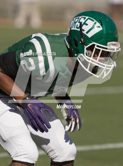 Thumbnail 1 in Dorsey vs Crenshaw photogallery.