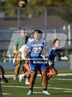 Photo from the gallery "Ponderosa @ Christian Brothers"