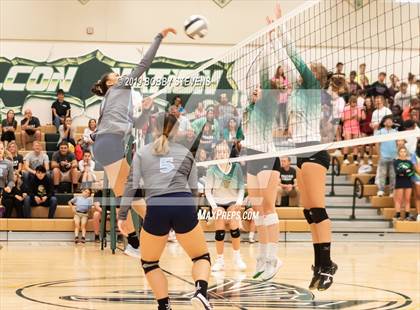 Thumbnail 1 in Widefield @ Falcon photogallery.