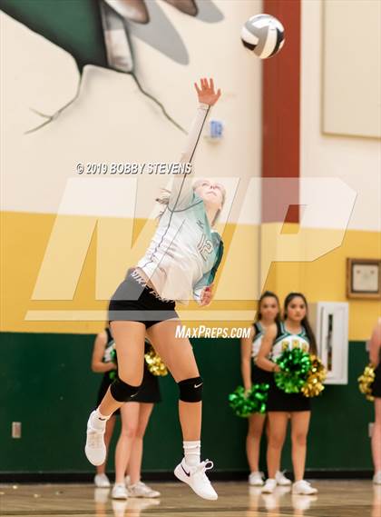 Thumbnail 2 in Widefield @ Falcon photogallery.