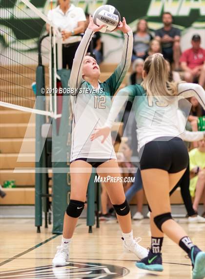 Thumbnail 1 in Widefield @ Falcon photogallery.