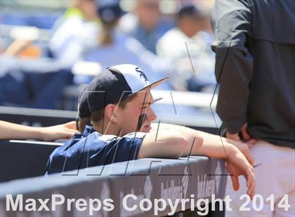 Thumbnail 3 in San Marcos vs. San Pasqual (Petco Park) photogallery.