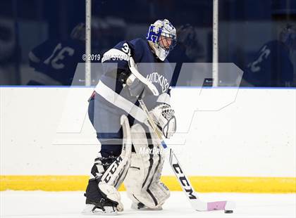 Thumbnail 2 in Brunswick @ Hotchkiss photogallery.