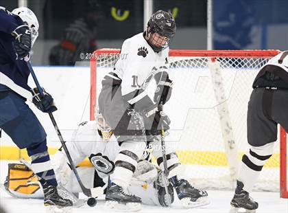 Thumbnail 1 in Brunswick @ Hotchkiss photogallery.