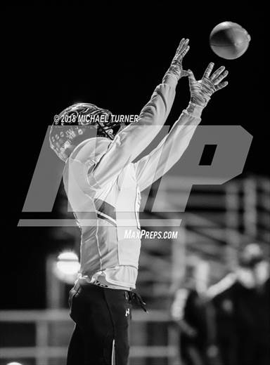 null - Photo 11