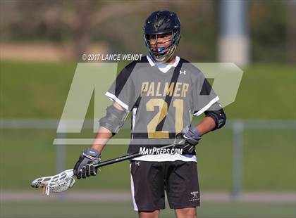 Thumbnail 1 in Palmer @ Chatfield photogallery.