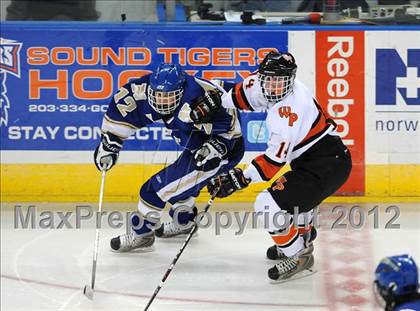 Thumbnail 3 in Newtown @ Watertown/Pomperaug photogallery.