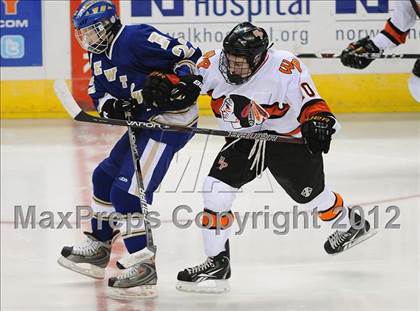 Thumbnail 3 in Newtown @ Watertown/Pomperaug photogallery.
