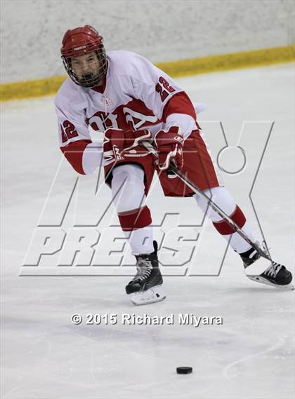 Thumbnail 3 in Bedford @ Pinkerton photogallery.