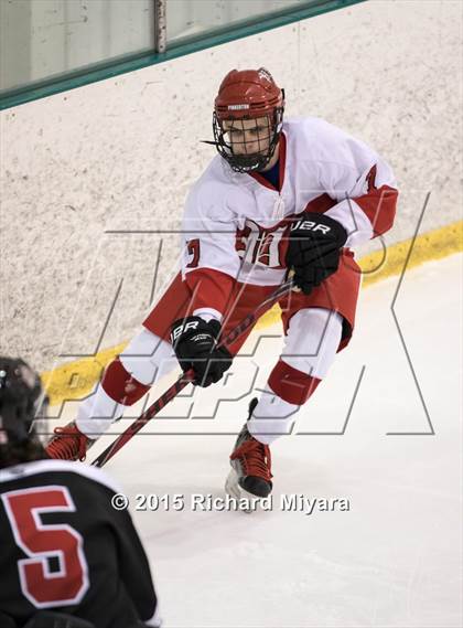 Thumbnail 3 in Bedford @ Pinkerton photogallery.