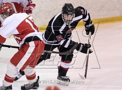 Thumbnail 2 in Bedford @ Pinkerton photogallery.